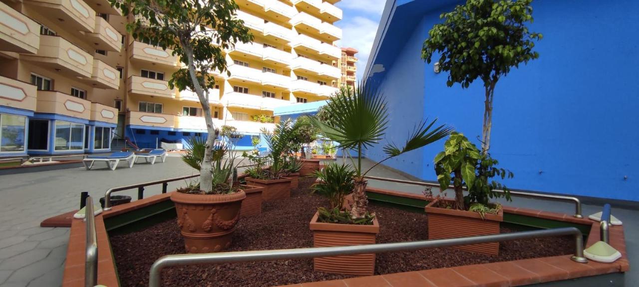 Apartamento Primavera - Teneguia Puerto de la Cruz Exterior foto